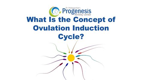 Ovulation Induction Cycle