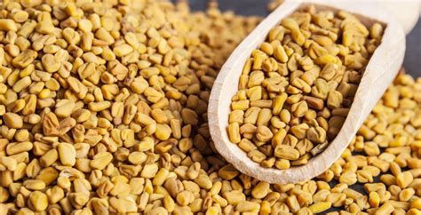 fenugreek seeds benefits uses risks and side effects dr axe