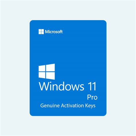 Windows 11 Professional Cd Key Mskey