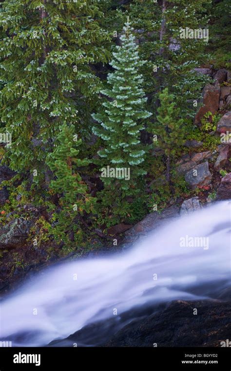 Alberta Falls Rocky Mountain National Park Colorado Stock Photo Alamy