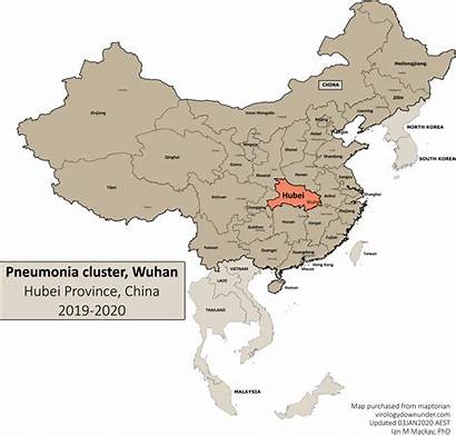 Wuhan Pneumonia China Cluster Cases Viral Counting