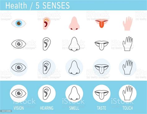 5 Senses Icon Set Touch Smell Hearing Vision Taste Eye Nose Ear Hand