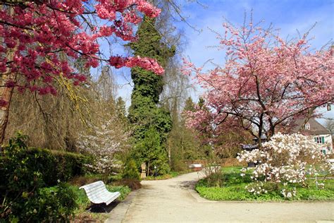 Amt für grünordnung, naturschutz und friedhofswesen. botanischer Garten Augsburg | Botanischer garten augsburg ...