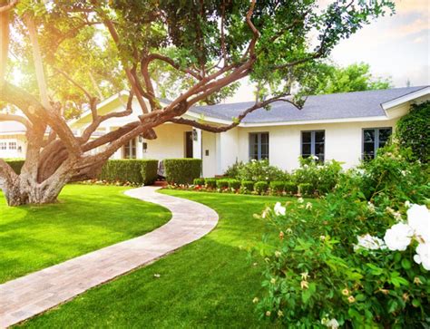 Few homeowners invest in all the equipment needed to properly care for a healthy lawn. Lawn Care - Lawn Treatments - Do it yourself vs. hire a ...