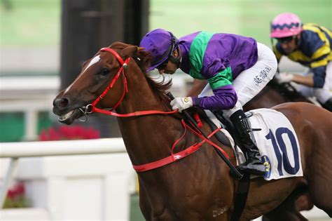 Welcome to equibase.com, your official source for horse racing results, mobile racing data, statistics as well as all other horse racing and thoroughbred racing information. Excellent Proposal steps up on his road to the Hong Kong Derby