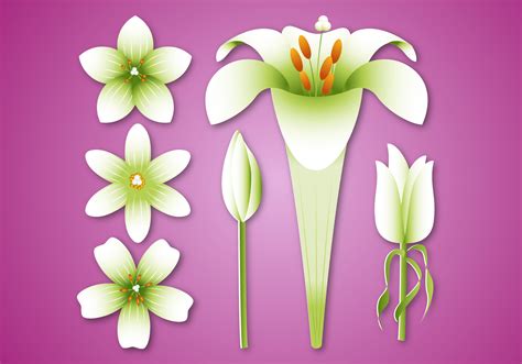 Free Easter Lily Vector 137940 Vector Art At Vecteezy