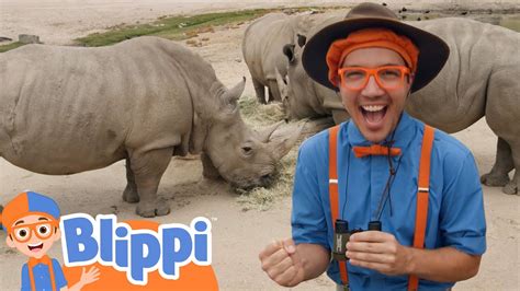 Blippi Explores a Safari Park | Learn About Animals For Kids