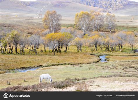 Scenery Ulan Buh Bashang Grasslands Autumn Chifeng City North Chinas