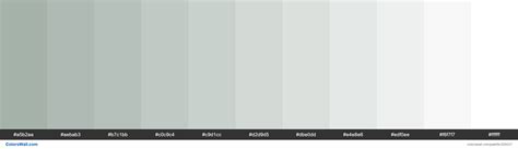 Aqua Gray Colors Palette A5b2aa Aebab3 B7c1bb Colorswall