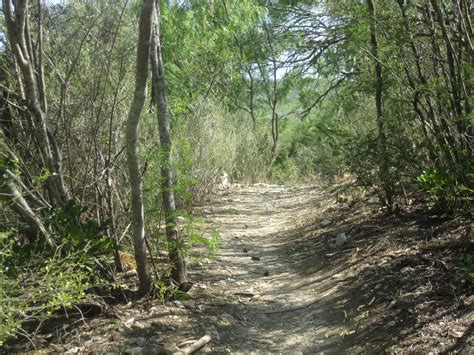 Filehiking Trail At Castroville Tx Regional Park Img 3271