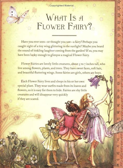 The Girls Book Of Flower Fairies Cicely Mary Barker Flower Fairies