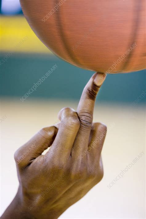 Basketball Spinning On A Finger Stock Image P9600481 Science