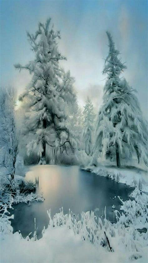 White Winter Paradise With Images Winter Scenery