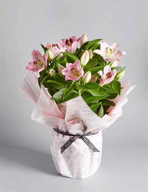 Plant With Flowers Happy Birthday Teleflora International