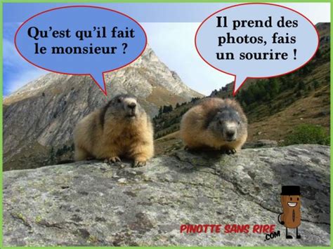 La marmotte fait de temps en temps des entorses à son régime végétal : PINOTTE SANS RIRE | Tag | drôle image