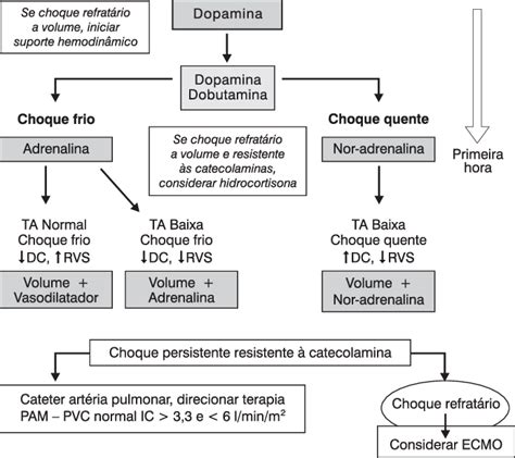 En este primera parte podrás revisar el tema de choque séptico; Suporte farmacológico no paciente com choque séptico ...