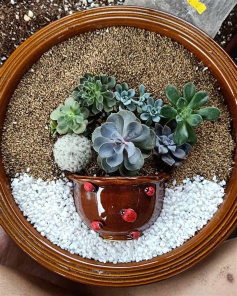 The Top 78 Succulent Garden Ideas