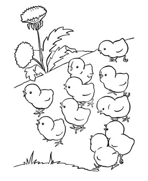Baby Farm Animals Coloring Pages For Kids Disney Coloring Pages