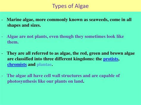 Ppt Types Of Algae Powerpoint Presentation Free Download Id2189533