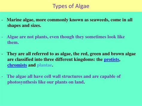 PPT - Types of Algae PowerPoint Presentation, free ...
