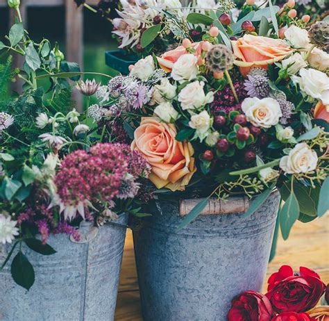 Se stai cercando delle piante acquatiche in vaso per arredare un angolo del tuo living domestico sei nel posto giusto. La salute dei fiori in vaso | La casa in ordine