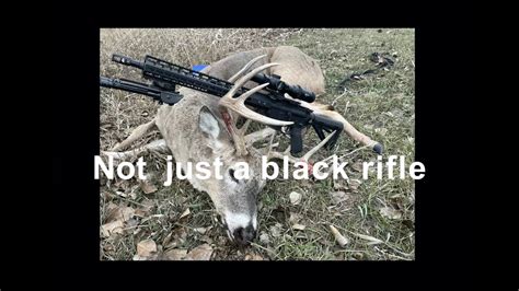 2021 Whitetail Hunt Gopro 360˚ Max Warning Kill Shot Youtube