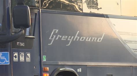 Updated One Person Dead After Being Hit By Greyhound Bus Kobi Tv