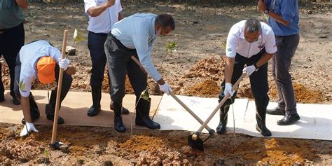 Berikut merupakan maklumat iklan kerja kosong yang ditawarkan oleh majikan terlibat. Mangrove Tree Planted by IKEA - Central Spectrum (M) Sdn Bhd