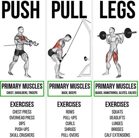 How To Push Pull Legs Exercises