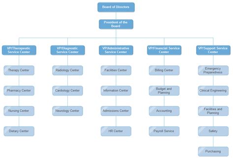 Hospital Org Chart Examples Org Charting