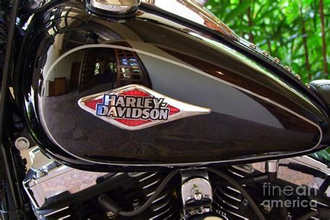 See more ideas about custom tanks, motorcycle tank, motorcycle painting. Harley Davidson Fuel Tank Photograph by Mary Deal