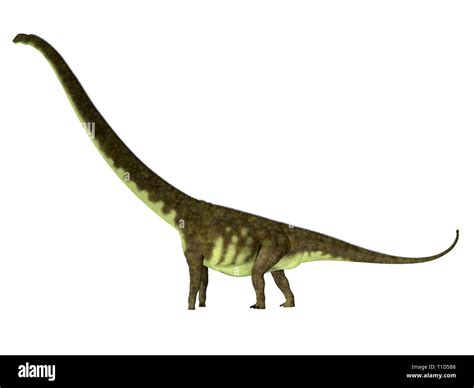 Mamenchisaurus Hochuanensis Was A Herbivorous Sauropod Dinosaur That