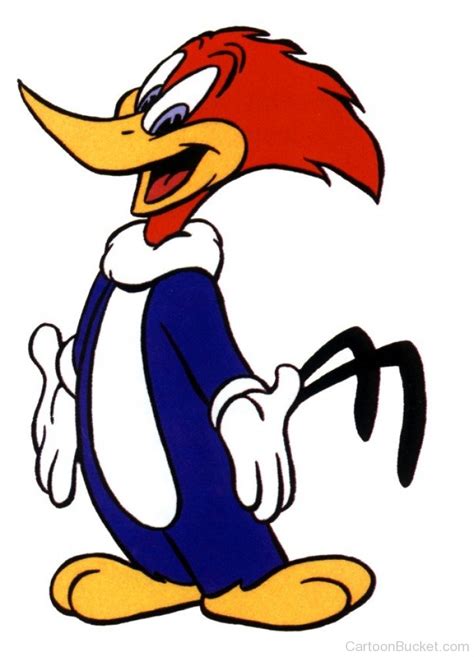 Woody Woodpecker Pictures Images Page 5
