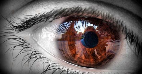 High levels of cholesterol may affect your eyes (learn more) and may lead to blockages in your retina. For visions come not to polluted eyes. | Flickr is a ...