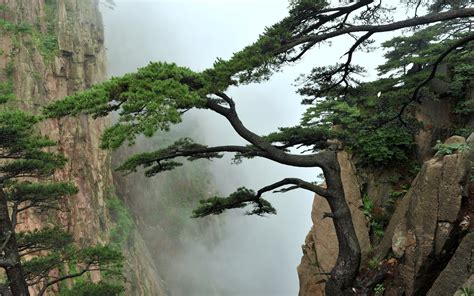 Nature Landscapes Mountains Trees Fog Mist Asian Oriental Clouds