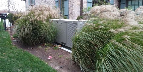 Ornamental Grasses Are Often Used As A Screen Around Utilities Because