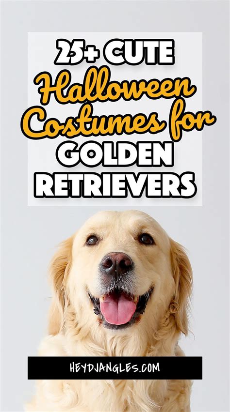 25 Halloween Costumes For Golden Retrievers And Labs From Fluffy