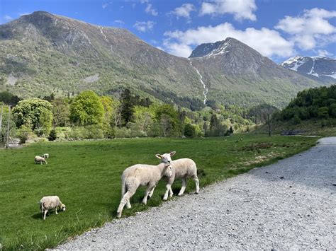 Traveler Photos Of 5 Top Norway Road Trips Villages Fjords And Scenic