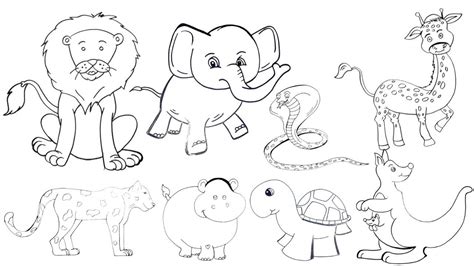 Wild Animals Drawing Easy Kids Drawing Learning Videos Youtube