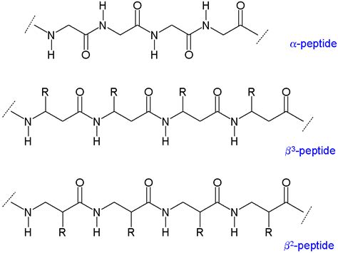 Polypeptides are chains of amino acids. Enzyme - Biokatalyse
