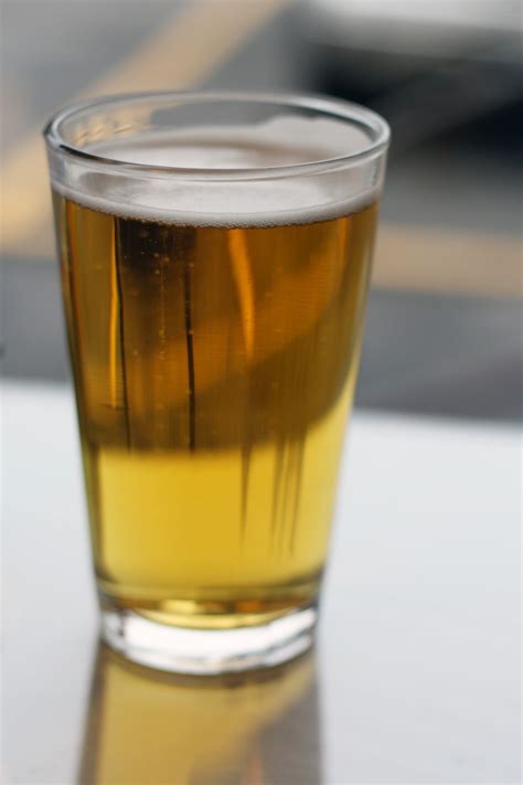 Glass Of Beer Free Stock Photo Public Domain Pictures