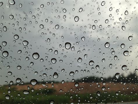 Gambar Pemandangan Air Horison Penurunan Langit Hujan Daun