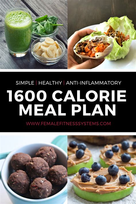 1600 Calorie Meal Plan Female Fitness Systems