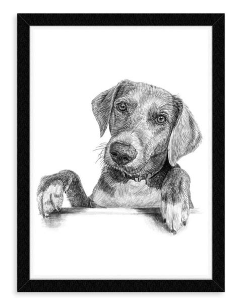 Tegning Af Din Hund Søde Tegninger