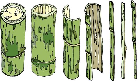 Premium Vector Green Bamboo Tree