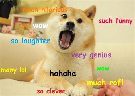 Doge Much Funny Doge Know Your Meme