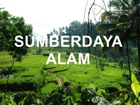 Check spelling or type a new query. Blog Pendidikan: Definisi Sumber Daya Alam dan Pemanfaatannya