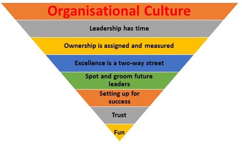 5 Steps For Creating Organisational Culture Reverasite