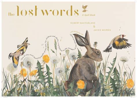 Think about it this way: The Lost Words: Amazon.co.uk: Morris, Jackie, Macfarlane ...