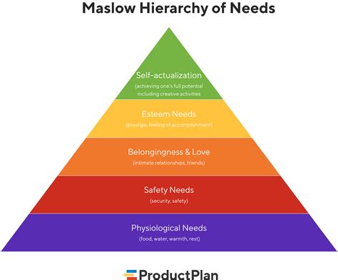 Ultimate Guide To 5 Levels Of Maslow S Hierarchy Of N - vrogue.co